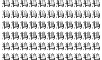 【脳トレ】「鵧」の中に紛れて1つ違う文字がある！？あなたは何秒で探し出せるかな？？【違う文字を探せ！】