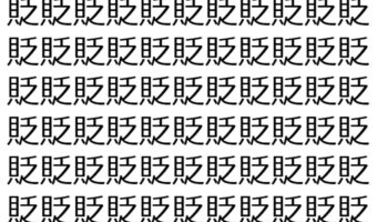 【脳トレ】「貶」の中に紛れて1つ違う文字がある！？あなたは何秒で探し出せるかな？？【違う文字を探せ！】