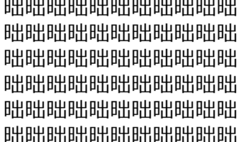 【脳トレ】「昢」の中に紛れて1つ違う文字がある！？あなたは何秒で探し出せるかな？？【違う文字を探せ！】