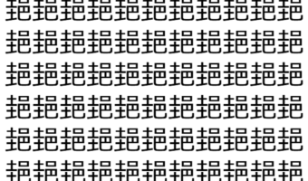 【脳トレ】「郌」の中に紛れて1つ違う文字がある!?あなたは何秒で探し出せるかな??【違う文字を探せ!】