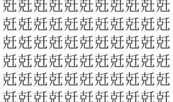 【脳トレ】「兛」の中に紛れて1つ違う文字がある!?あなたは何秒で探し出せるかな??【違う文字を探せ!】