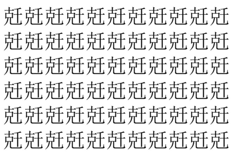 【脳トレ】「兛」の中に紛れて1つ違う文字がある！？あなたは何秒で探し出せるかな？？【違う文字を探せ！】