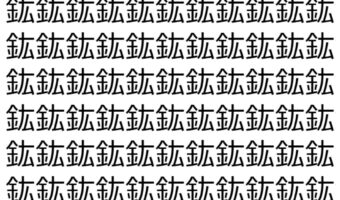 【脳トレ】「鈜」の中に紛れて1つ違う文字がある！？あなたは何秒で探し出せるかな？？【違う文字を探せ！】