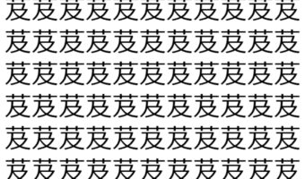 【脳トレ】「芨」の中に紛れて1つ違う文字がある！？あなたは何秒で探し出せるかな？？【違う文字を探せ！】