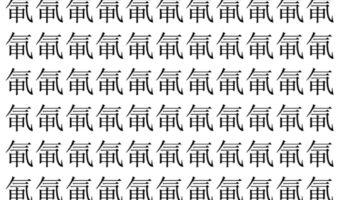 【脳トレ】「氠」の中に紛れて1つ違う文字がある！？あなたは何秒で探し出せるかな？？【違う文字を探せ！】