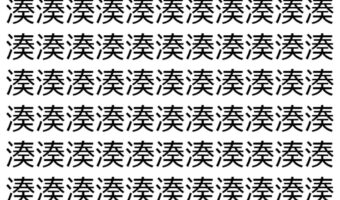 【脳トレ】「湊」の中に紛れて1つ違う文字がある!?あなたは何秒で探し出せるかな??【違う文字を探せ!】