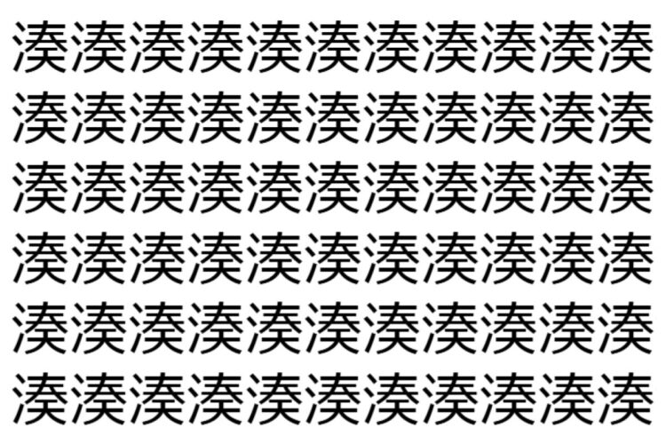 【脳トレ】「湊」の中に紛れて1つ違う文字がある！？あなたは何秒で探し出せるかな？？【違う文字を探せ！】
