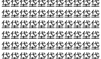 【脳トレ】「垈」の中に紛れて1つ違う文字がある！？あなたは何秒で探し出せるかな？？【違う文字を探せ！】