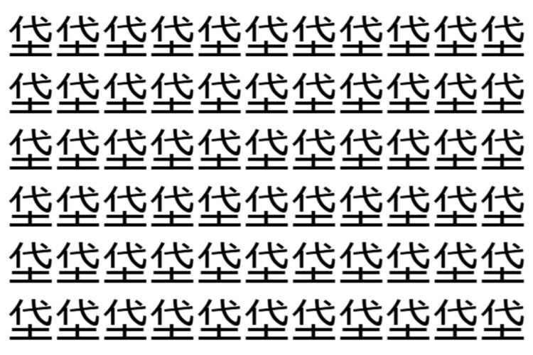 【脳トレ】「垈」の中に紛れて1つ違う文字がある！？あなたは何秒で探し出せるかな？？【違う文字を探せ！】