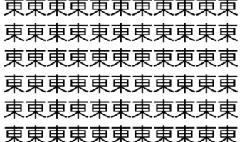 【脳トレ】「東」の中に紛れて1つ違う文字がある！？あなたは何秒で探し出せるかな？？【違う文字を探せ！】