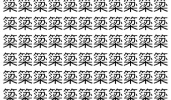 【脳トレ】「簗」の中に紛れて1つ違う文字がある！？あなたは何秒で探し出せるかな？？【違う文字を探せ！】
