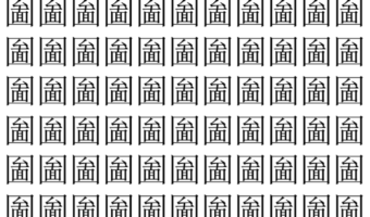 【脳トレ】「圗」の中に紛れて1つ違う文字がある！？あなたは何秒で探し出せるかな？？【違う文字を探せ！】