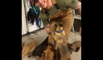 わらわらわちゃわちゃと男性の足元を包囲する子犬たち!そのかわいさと迫力がスゴい!!【アメリカ・動画】