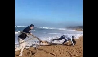 波打ち際で夢中になって遊んでいたら・・。ピンチがすぐそばまで迫り来てあたふたとパニック！！【海外・動画】