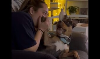 愛犬のおててをガブっ！飼い主さんのイタズラに愛犬からリアクションが飛び出す！【アメリカ・動画】