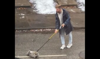 カナダならでは?道路に侵入するアライグマを制止する男性。押し留めるのに使うのは・・ホッケースティック!?【海外・動画】