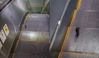 エスカレーターになにか落ちていると思ったら・・、実はエスカレーターを逆走しようと奮闘する『ある動物』だったのです！！