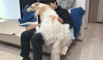 自分の大きさわかってる？飼い主さんに甘えるボルゾイが話題に！「子犬だと思ってるかも」「相思相愛ですね」