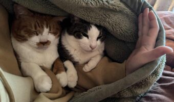 不本意ながらの二度寝。その理由がかわいすぎた！「これは仕方ないですね」「なんて幸せな不本意」