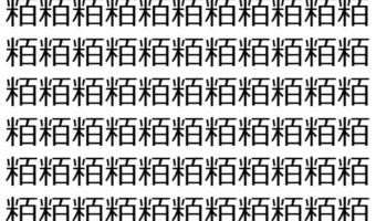 【脳トレ】「粨」の中に紛れて1つ違う文字がある！？あなたは何秒で探し出せるかな？？【違う文字を探せ！】