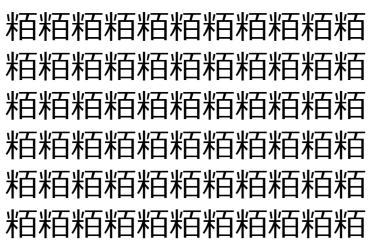 【脳トレ】「粨」の中に紛れて1つ違う文字がある！？あなたは何秒で探し出せるかな？？【違う文字を探せ！】