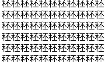 【脳トレ】「秠」の中に紛れて1つ違う文字がある!?あなたは何秒で探し出せるかな??【違う文字を探せ!】