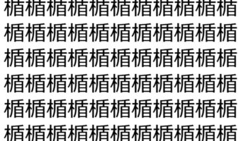 【脳トレ】「楯」の中に紛れて1つ違う文字がある!?あなたは何秒で探し出せるかな??【違う文字を探せ!】
