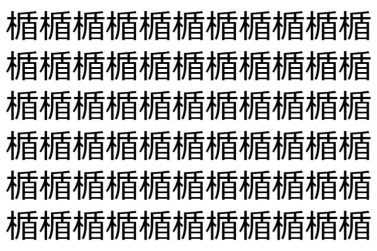 【脳トレ】「楯」の中に紛れて1つ違う文字がある！？あなたは何秒で探し出せるかな？？【違う文字を探せ！】