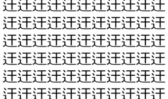 【脳トレ】「迀」の中に紛れて1つ違う文字がある！？あなたは何秒で探し出せるかな？？【違う文字を探せ！】