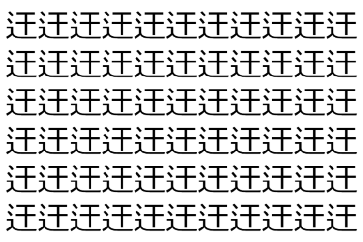 【脳トレ】「迀」の中に紛れて1つ違う文字がある！？あなたは何秒で探し出せるかな？？【違う文字を探せ！】