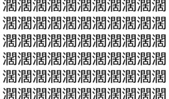 【脳トレ】「濶」の中に紛れて1つ違う文字がある!?あなたは何秒で探し出せるかな??【違う文字を探せ!】
