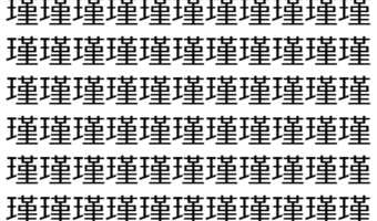 【脳トレ】「瑾」の中に紛れて1つ違う文字がある!?あなたは何秒で探し出せるかな??【違う文字を探せ!】