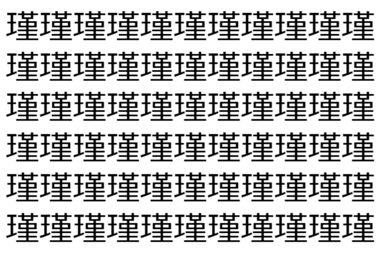 【脳トレ】「瑾」の中に紛れて1つ違う文字がある！？あなたは何秒で探し出せるかな？？【違う文字を探せ！】