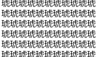 【脳トレ】「琥」の中に紛れて1つ違う文字がある！？あなたは何秒で探し出せるかな？？【違う文字を探せ！】