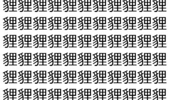 【脳トレ】「貍」の中に紛れて1つ違う文字がある!?あなたは何秒で探し出せるかな??【違う文字を探せ!】