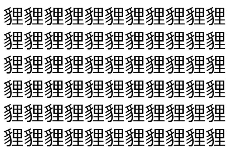【脳トレ】「貍」の中に紛れて1つ違う文字がある！？あなたは何秒で探し出せるかな？？【違う文字を探せ！】
