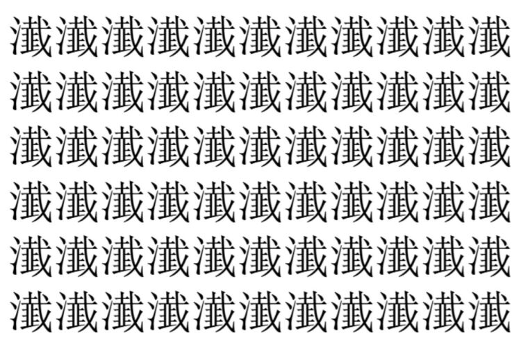 【脳トレ】「瀐」の中に紛れて1つ違う文字がある！？あなたは何秒で探し出せるかな？？【違う文字を探せ！】