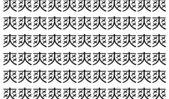 【脳トレ】「爽」の中に紛れて1つ違う文字がある！？あなたは何秒で探し出せるかな？？【違う文字を探せ！】