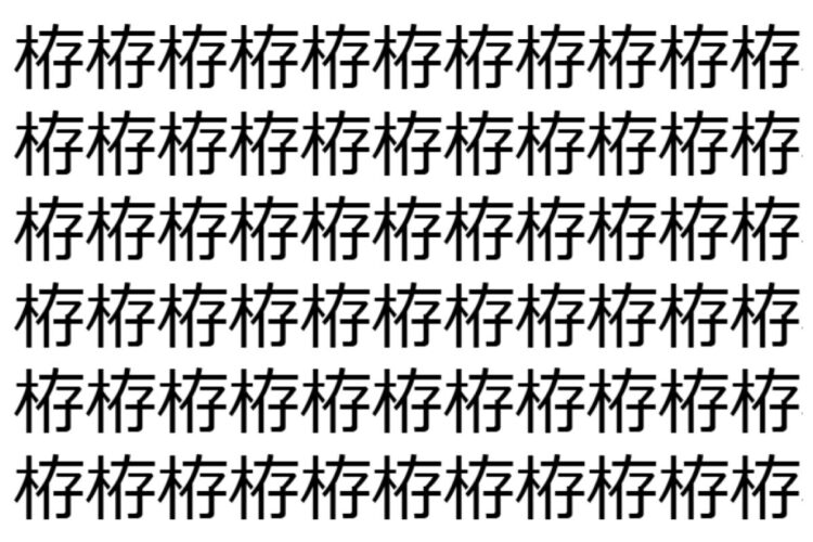 【脳トレ】「栫」の中に紛れて1つ違う文字がある！？あなたは何秒で探し出せるかな？？【違う文字を探せ！】