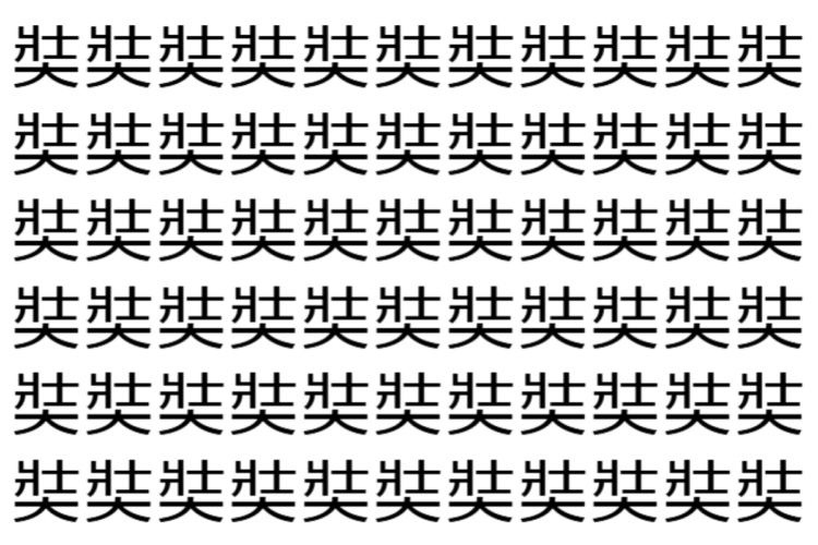 【脳トレ】「奘」の中に紛れて1つ違う文字がある！？あなたは何秒で探し出せるかな？？【違う文字を探せ！】
