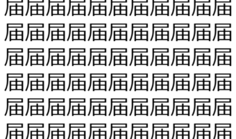 【脳トレ】「届」の中に紛れて1つ違う文字がある！？あなたは何秒で探し出せるかな？？【違う文字を探せ！】