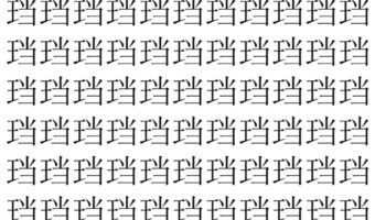 【脳トレ】「珰」の中に紛れて1つ違う文字がある!?あなたは何秒で探し出せるかな??【違う文字を探せ!】