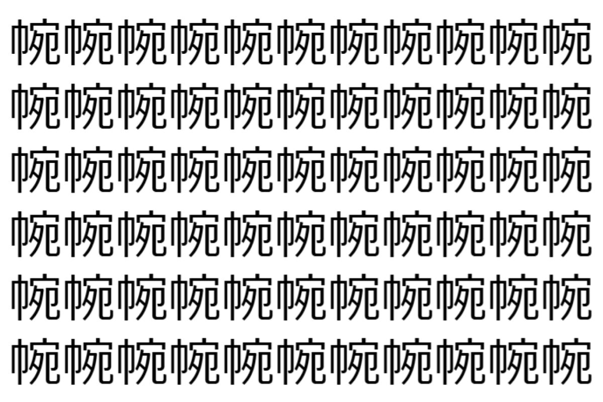 【脳トレ】「帵」の中に紛れて1つ違う文字がある!?あなたは何秒で探し出せるかな??【違う文字を探せ!】