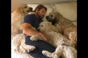幸せすぎる光景！大好きなパパさんにギュ〜っと抱きついて眠る愛犬たち。その光景がかわいすぎる！！【海外・動画】