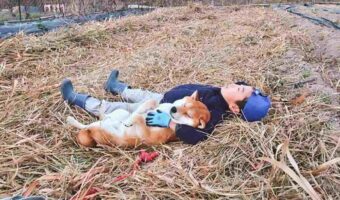 仲良くウトウト。藁の上で気持ちよさそうに横になる子供と柴犬の姿が話題に!「藁って何気に暖かい」「素敵な腕枕で幸せそう」