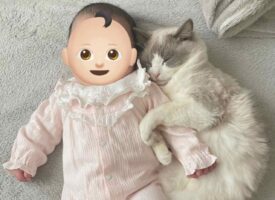 ネコが赤ちゃんにぎゅ～っ！いつもなら見られないレアな光景に「尊すぎる！」「仲良く寝てほしい」