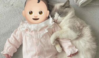 ネコが赤ちゃんにぎゅ~っ!いつもなら見られないレアな光景に「尊すぎる!」「仲良く寝てほしい」