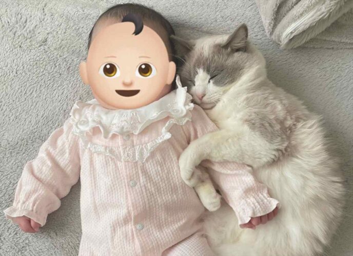 ネコが赤ちゃんにぎゅ～っ！いつもなら見られないレアな光景に「尊すぎる！」「仲良く寝てほしい」