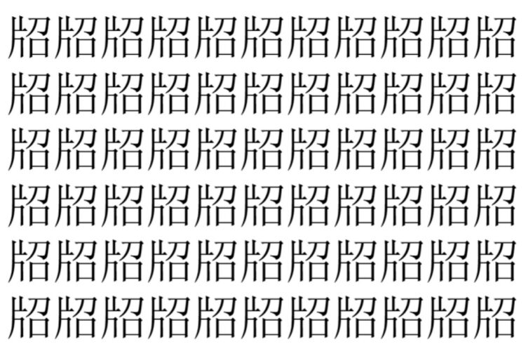 【脳トレ】「牊」の中に紛れて1つ違う文字がある！？あなたは何秒で探し出せるかな？？【違う文字を探せ！】