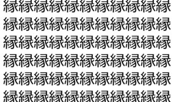 【脳トレ】「縁」の中に紛れて1つ違う文字がある！？あなたは何秒で探し出せるかな？？【違う文字を探せ！】